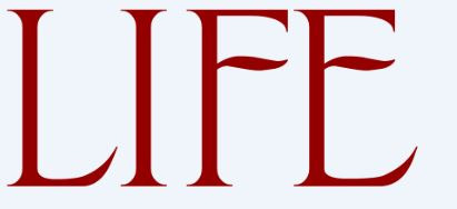 What font is this? Font sample to identify the typeface on WhatFontIs