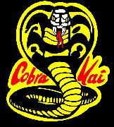 Cobra Kai Font sample uploaded by JPCleary to identify the typeface on WhatFontIs
