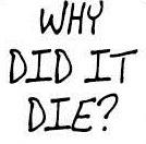 Font name please!! Font sample uploaded by luanlauria to identify the typeface on WhatFontIs