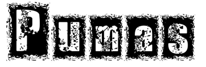 Pumas Font sample to identify the typeface on WhatFontIs