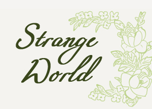 I cant' find it Font sample to identify the typeface on WhatFontIs