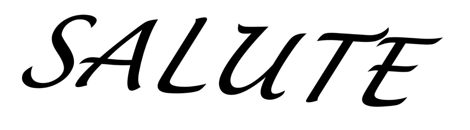 SALUTE Font sample to identify the typeface on WhatFontIs