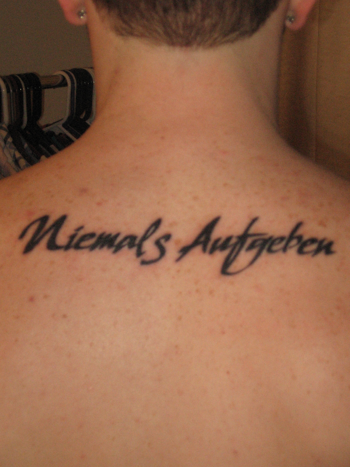 What font is this? Font sample to identify the typeface on WhatFontIs